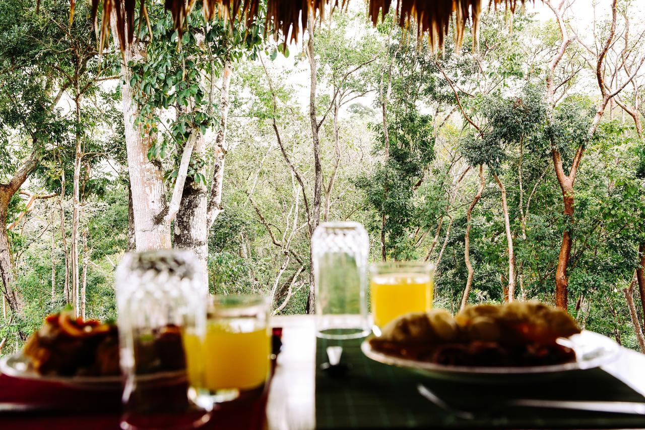 Amber Sunset Jungle Resort San Ignacio Exterior photo
