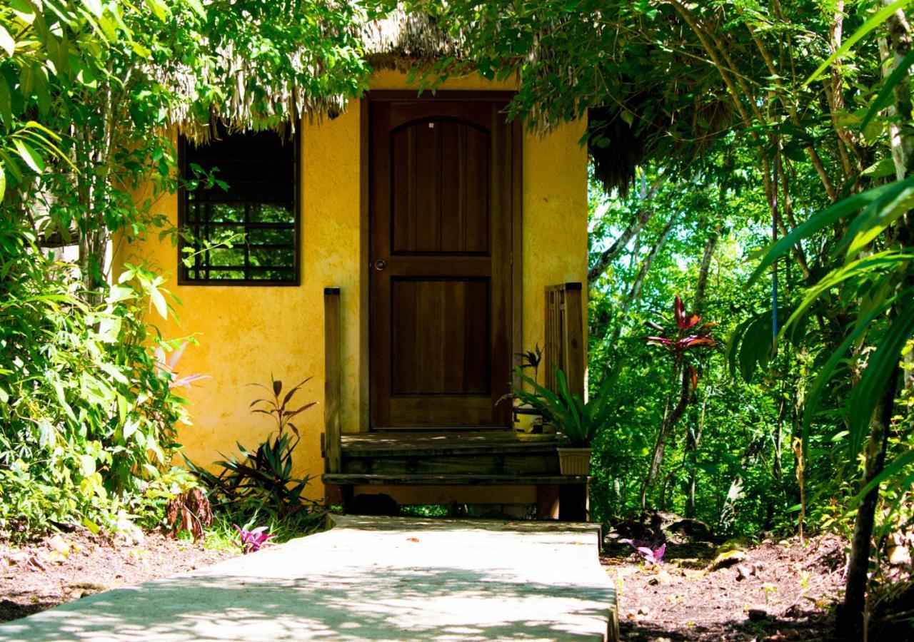 Amber Sunset Jungle Resort San Ignacio Exterior photo